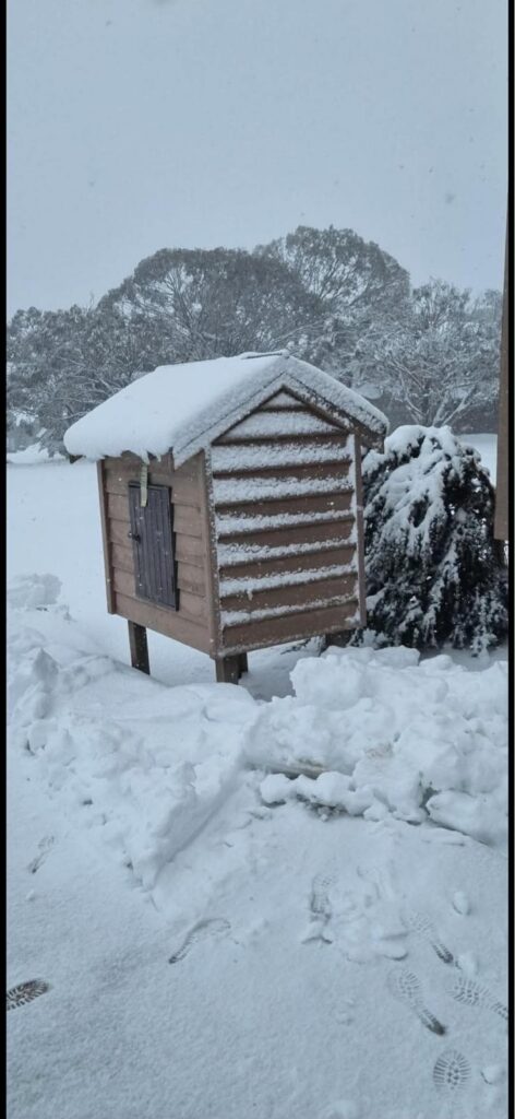 Mount Hotham luxury private snow