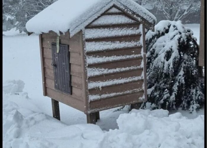 Mount Hotham luxury private snow