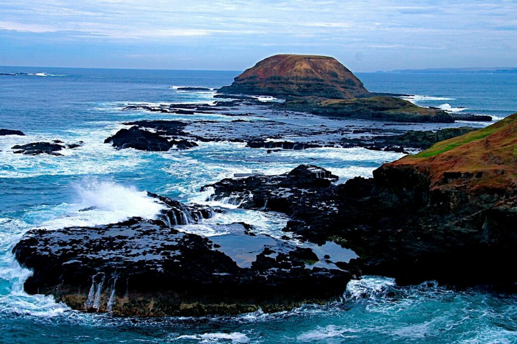 Phillip island Half day tour