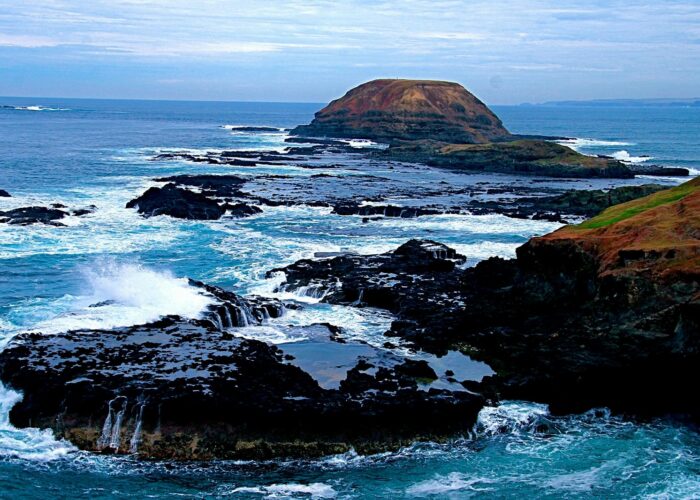 Phillip island Half day tour