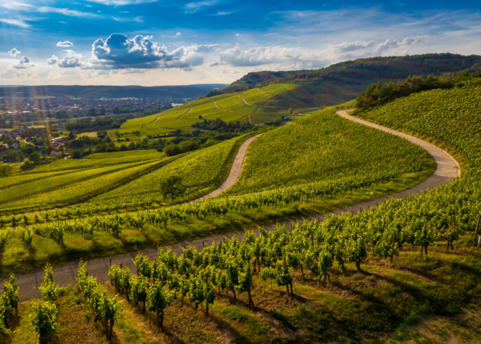 Yarra Valley Tour from Melbourne